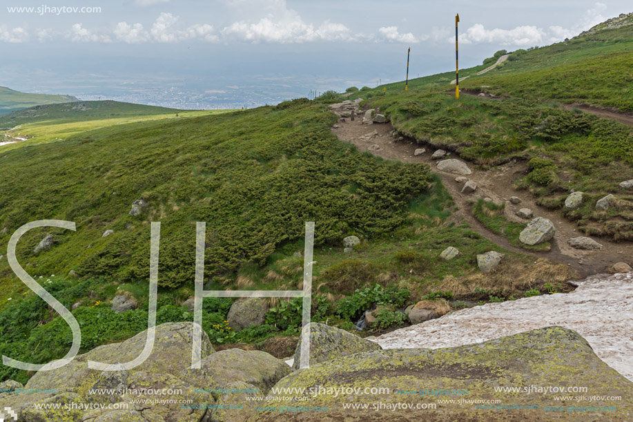 Landscape of Vitosha Mountain near Cherni Vrah Peak, Sofia City Region, Bulgaria