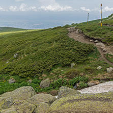 Landscape of Vitosha Mountain near Cherni Vrah Peak, Sofia City Region, Bulgaria