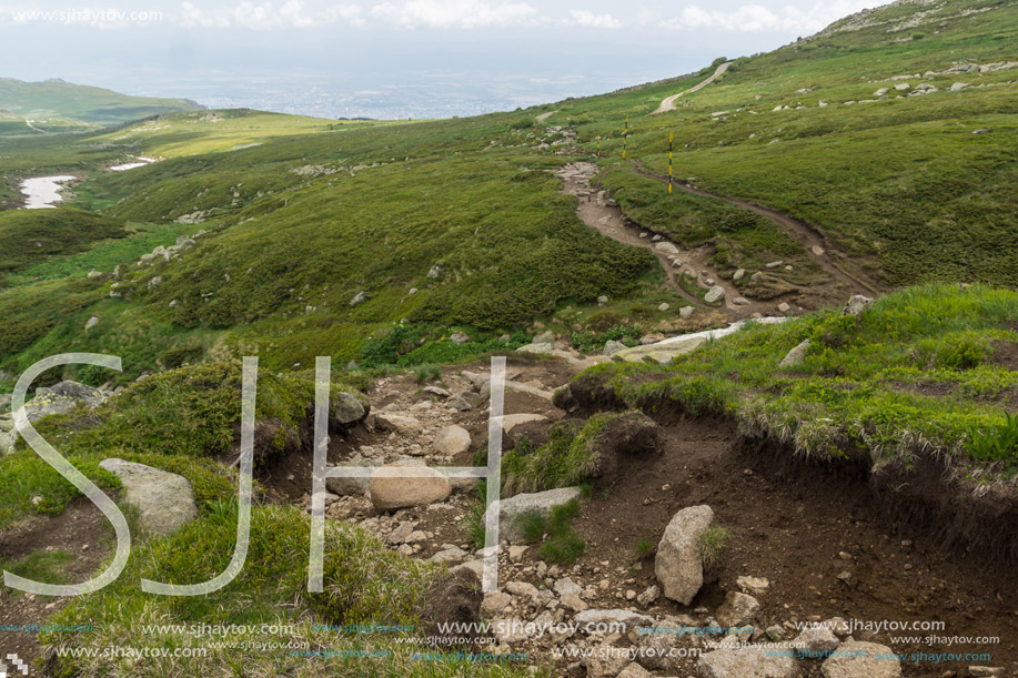 Landscape of Vitosha Mountain near Cherni Vrah Peak, Sofia City Region, Bulgaria