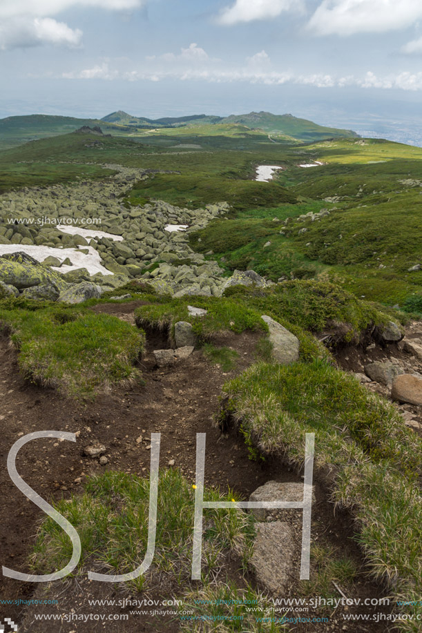 Landscape of Vitosha Mountain near Cherni Vrah Peak, Sofia City Region, Bulgaria