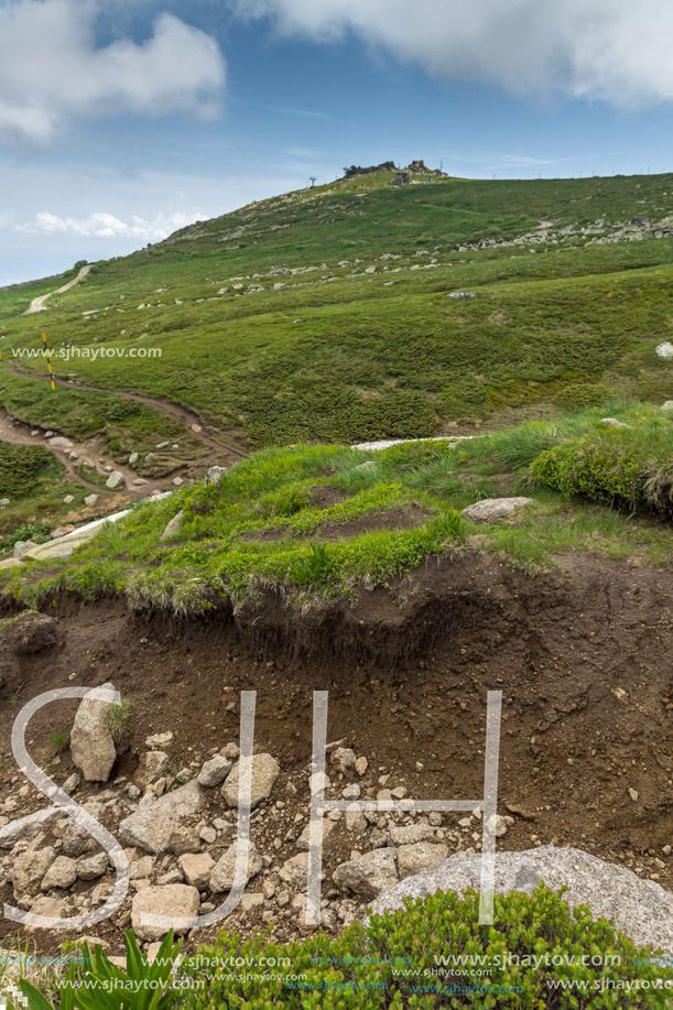 Landscape of Vitosha Mountain near Cherni Vrah Peak, Sofia City Region, Bulgaria