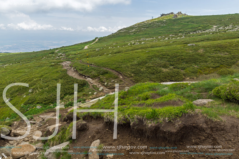 Landscape of Vitosha Mountain near Cherni Vrah Peak, Sofia City Region, Bulgaria