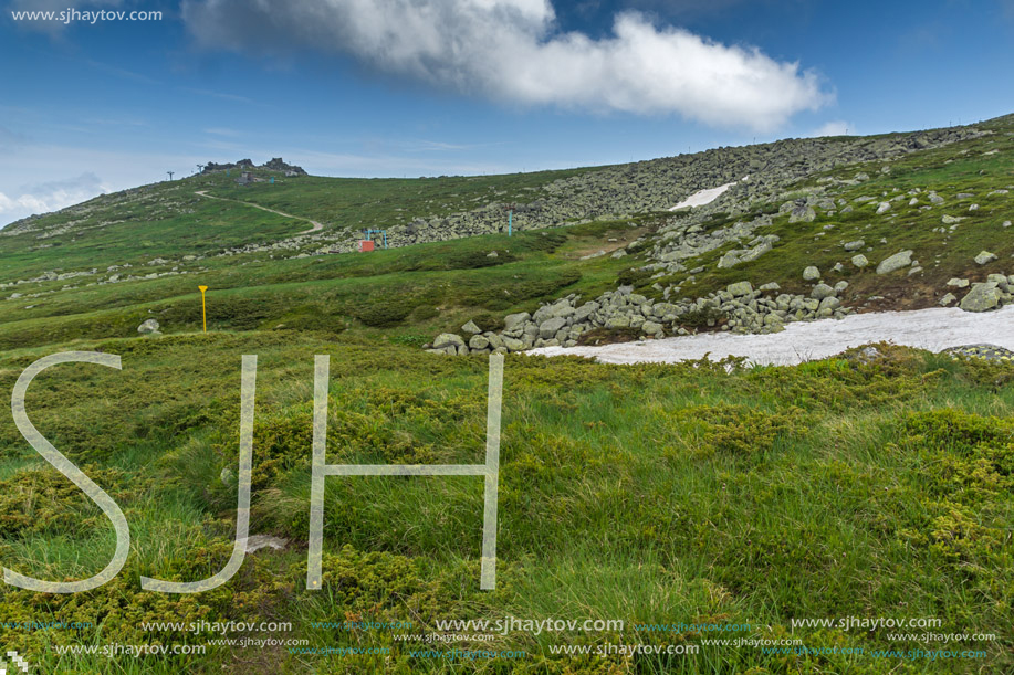 Landscape of Vitosha Mountain near Cherni Vrah Peak, Sofia City Region, Bulgaria