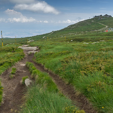 Landscape of Vitosha Mountain near Cherni Vrah Peak, Sofia City Region, Bulgaria