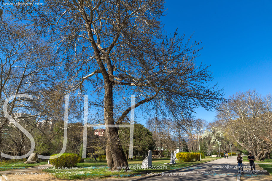 SANDANSKI, BULGARIA - APRIL 4, 2018: Spring view of Park St. Vrach in town of Sandanski, Bulgaria