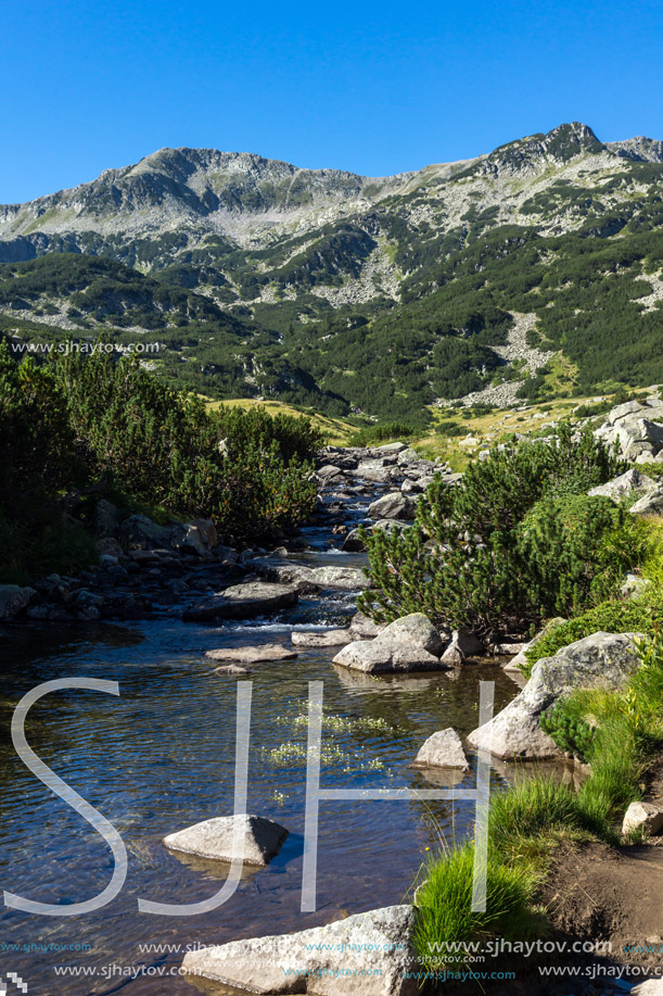 Amazing landscape of Banderitsa river, Pirin Mountain, Bulgaria