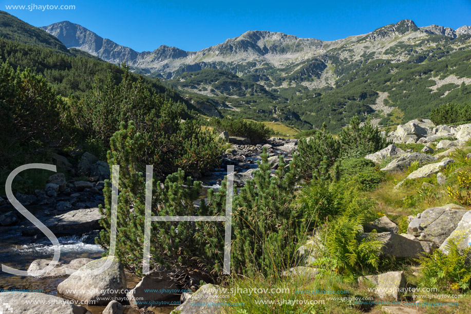 Amazing landscape of Banderitsa river, Pirin Mountain, Bulgaria