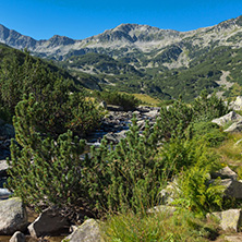 Amazing landscape of Banderitsa river, Pirin Mountain, Bulgaria