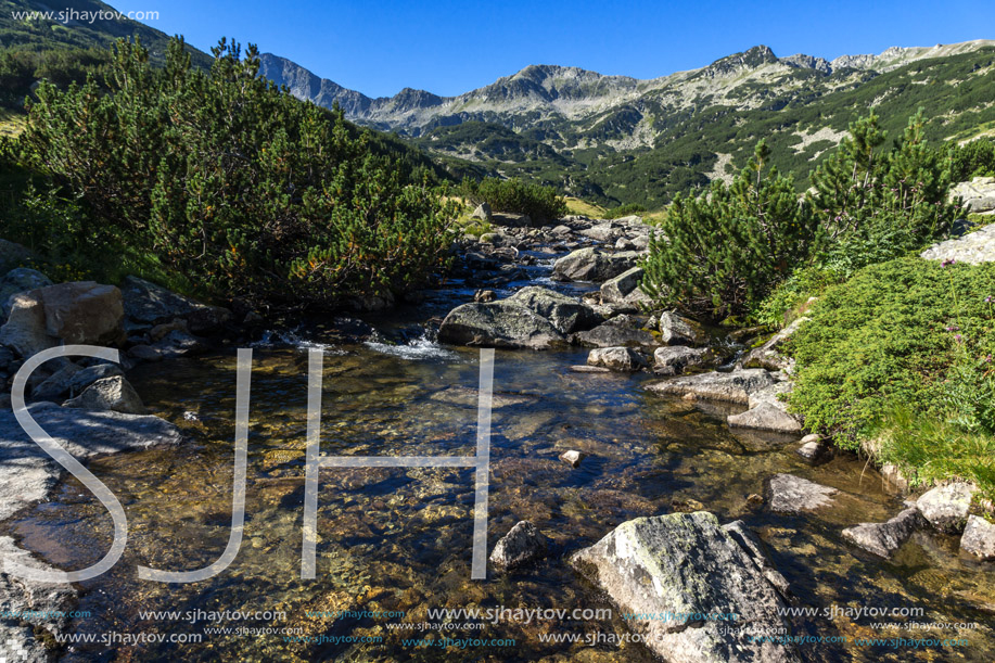 Amazing landscape of Banderitsa river, Pirin Mountain, Bulgaria