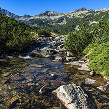 Amazing landscape of Banderitsa river, Pirin Mountain, Bulgaria