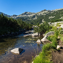 Amazing landscape of Banderitsa river, Pirin Mountain, Bulgaria