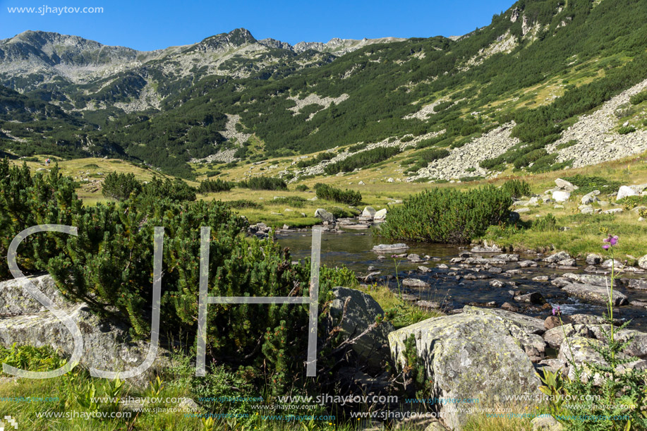 Amazing landscape of Banderitsa river, Pirin Mountain, Bulgaria