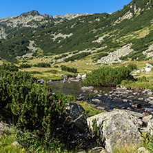 Amazing landscape of Banderitsa river, Pirin Mountain, Bulgaria