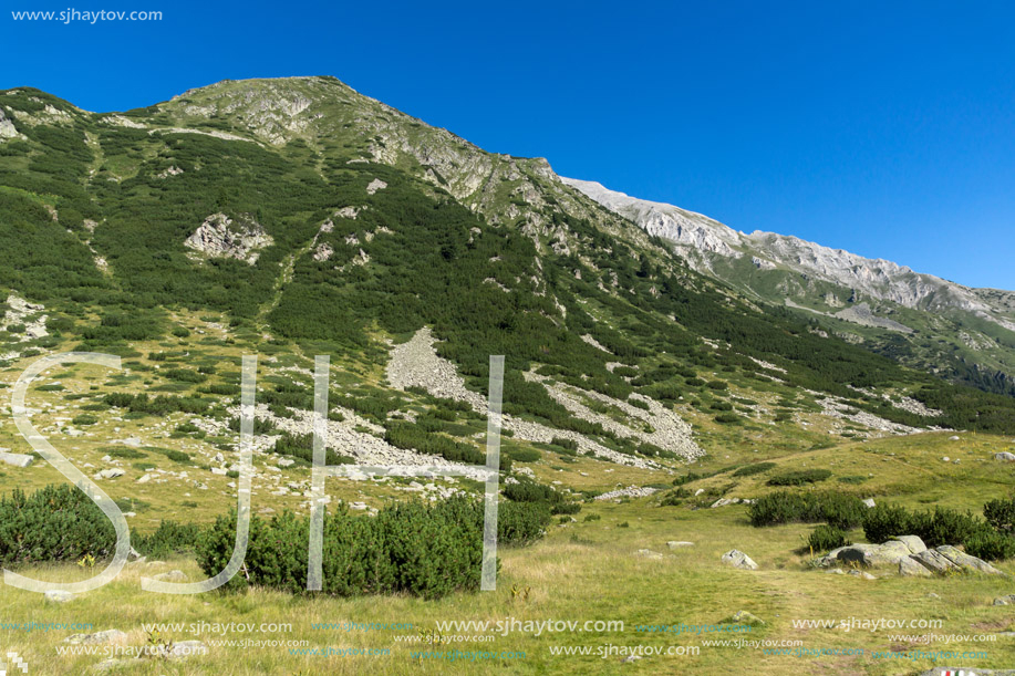 Landscape with Hvoynati and Vihren Peak, Pirin Mountain, Bulgaria