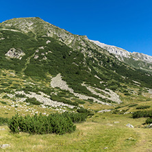 Landscape with Hvoynati and Vihren Peak, Pirin Mountain, Bulgaria