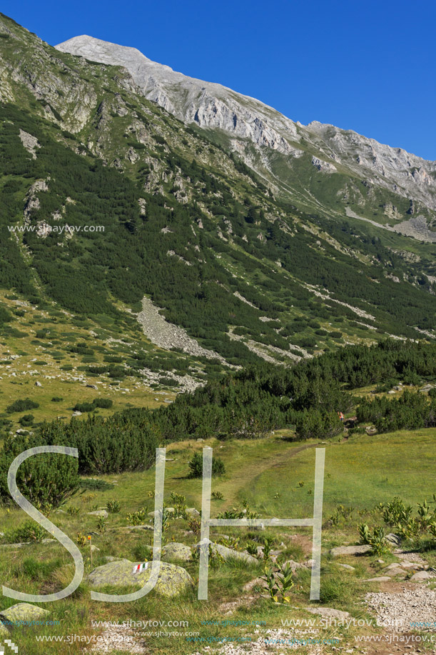 Landscape with Hvoynati and Vihren Peak, Pirin Mountain, Bulgaria