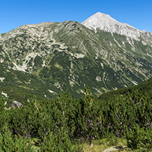 Landscape with Hvoynati and Vihren Peak, Pirin Mountain, Bulgaria