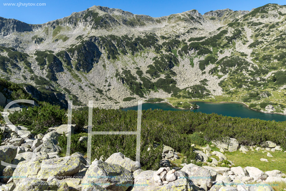 Landscape with green hills and Banderitsa fish lake, Pirin Mountain, Bulgaria