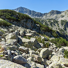 Landscape with Banderishki Chukar Peak, Pirin Mountain, Bulgaria