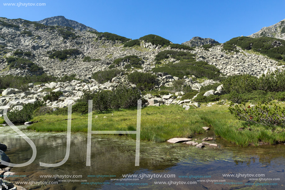 Landscape with Mountain river near Muratov peak, Pirin Mountain, Bulgaria