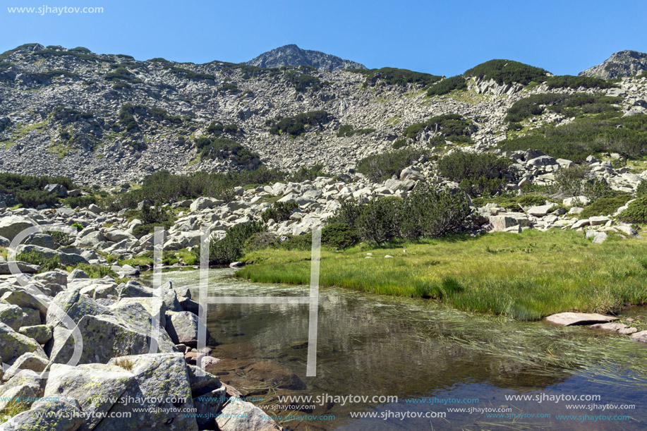 Landscape with Mountain river near Muratov peak, Pirin Mountain, Bulgaria