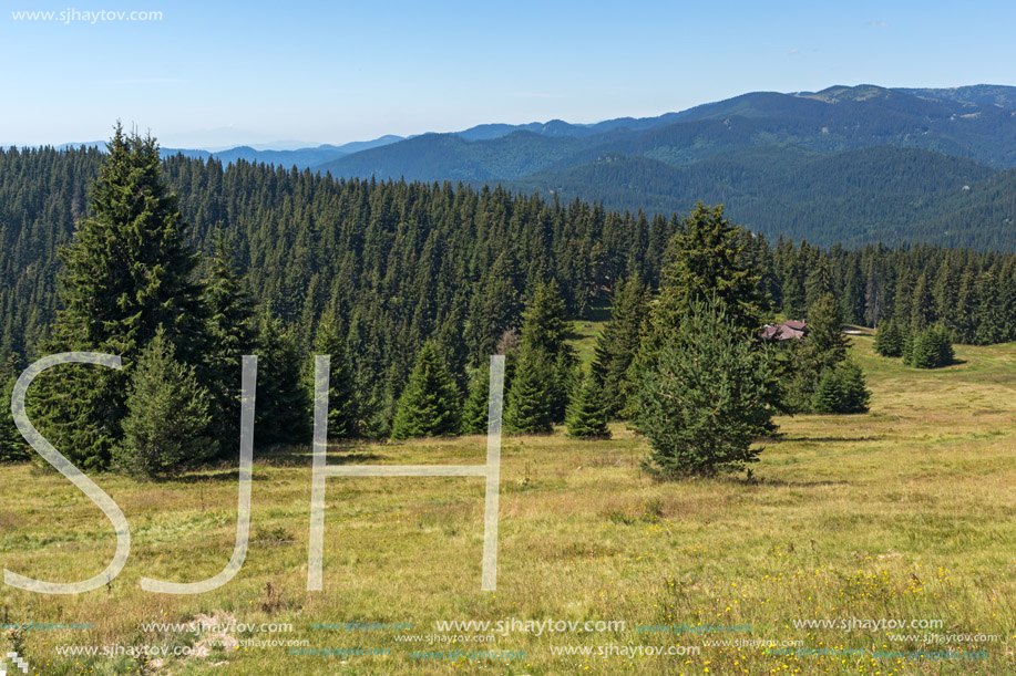 Amazing Summer landscape of Rhodope Mountains near Snezhanka peak and ski resort Pamporovo, Smolyan Region, Bulgaria