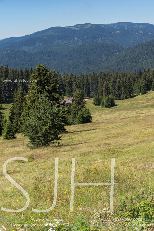 Amazing Summer landscape of Rhodope Mountains near Snezhanka peak and ski resort Pamporovo, Smolyan Region, Bulgaria