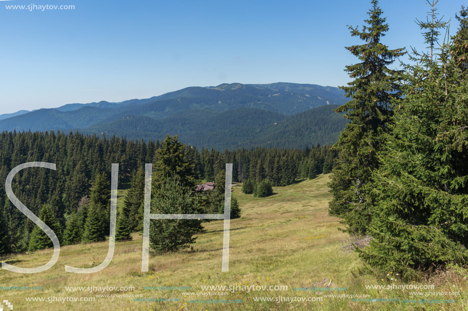 Amazing Summer landscape of Rhodope Mountains near Snezhanka peak and ski resort Pamporovo, Smolyan Region, Bulgaria