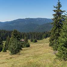 Amazing Summer landscape of Rhodope Mountains near Snezhanka peak and ski resort Pamporovo, Smolyan Region, Bulgaria
