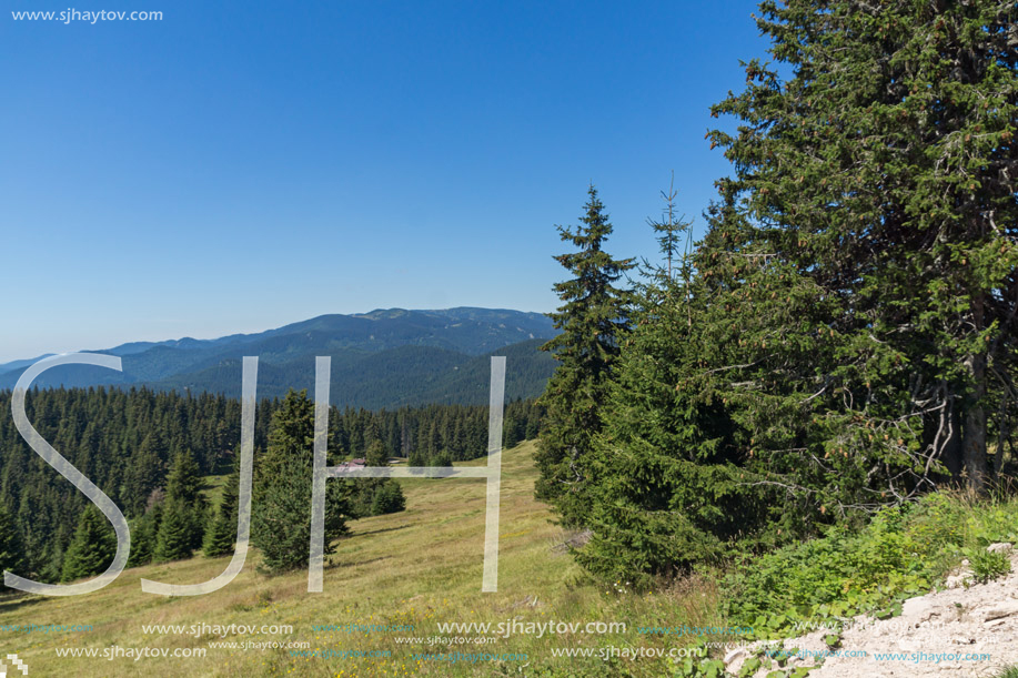 Amazing Summer landscape of Rhodope Mountains near Snezhanka peak and ski resort Pamporovo, Smolyan Region, Bulgaria