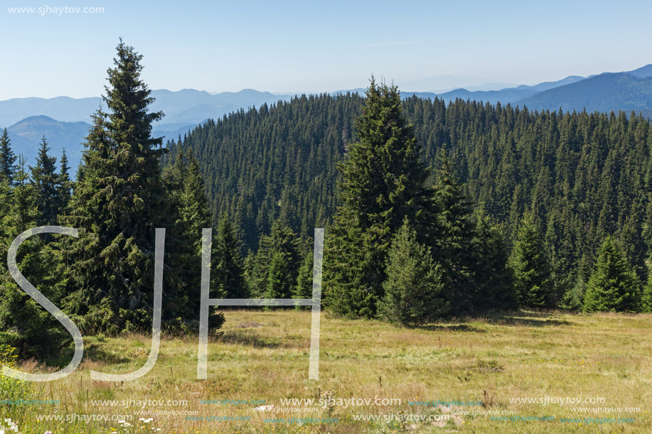 Amazing Summer landscape of Rhodope Mountains near Snezhanka peak and ski resort Pamporovo, Smolyan Region, Bulgaria