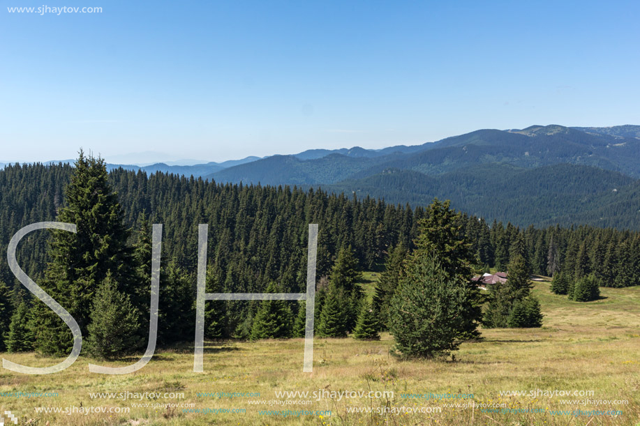 Amazing Summer landscape of Rhodope Mountains near Snezhanka peak and ski resort Pamporovo, Smolyan Region, Bulgaria