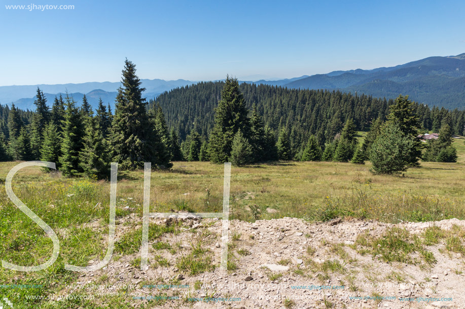 Amazing Summer landscape of Rhodope Mountains near Snezhanka peak and ski resort Pamporovo, Smolyan Region, Bulgaria