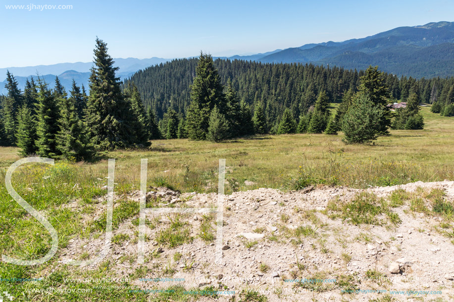 Amazing Summer landscape of Rhodope Mountains near Snezhanka peak and ski resort Pamporovo, Smolyan Region, Bulgaria