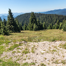 Amazing Summer landscape of Rhodope Mountains near Snezhanka peak and ski resort Pamporovo, Smolyan Region, Bulgaria