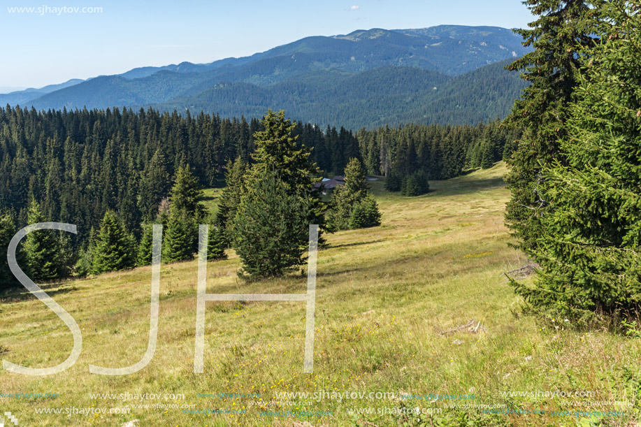 Amazing Summer landscape of Rhodope Mountains near Snezhanka peak and ski resort Pamporovo, Smolyan Region, Bulgaria