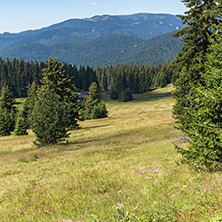 Amazing Summer landscape of Rhodope Mountains near Snezhanka peak and ski resort Pamporovo, Smolyan Region, Bulgaria