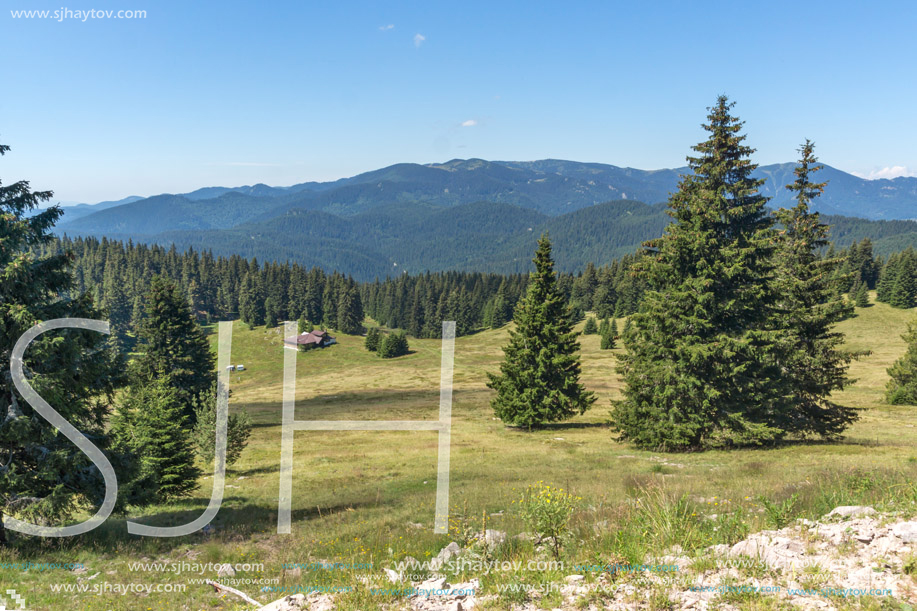 Amazing Summer landscape of Rhodope Mountains near Snezhanka peak and ski resort Pamporovo, Smolyan Region, Bulgaria