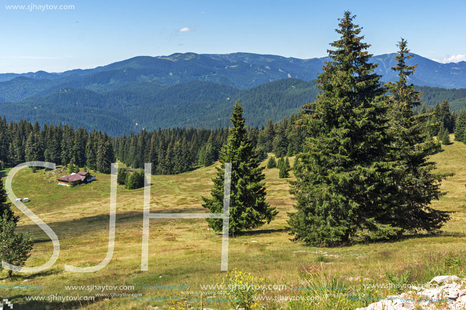 Amazing Summer landscape of Rhodope Mountains near Snezhanka peak and ski resort Pamporovo, Smolyan Region, Bulgaria