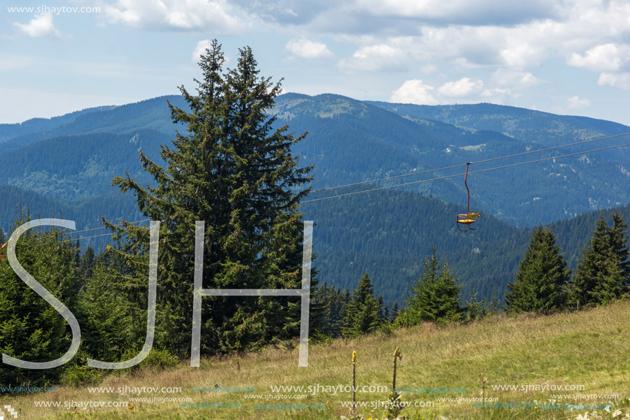 Amazing Summer landscape of Rhodope Mountains near Snezhanka peak and ski resort Pamporovo, Smolyan Region, Bulgaria