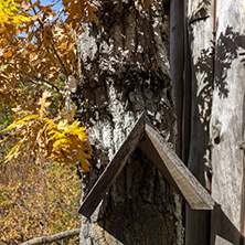 DEVIL"S TOWN, SERBIA - OCTOBER 21, 2017: Wooden Church of St. Petka at Devil town in Radan Mountain, Serbia