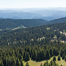 Amazing landscape of Rhodope Mountains from Snezhanka tower near ski resort Pamporovo, Smolyan Region, Bulgaria