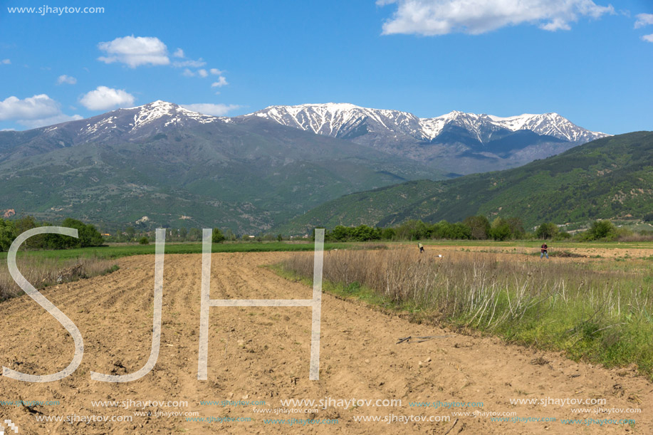 Amazing Spring Landscape of Rila Mountain near village of Stob, Kyustendil region, Bulgaria