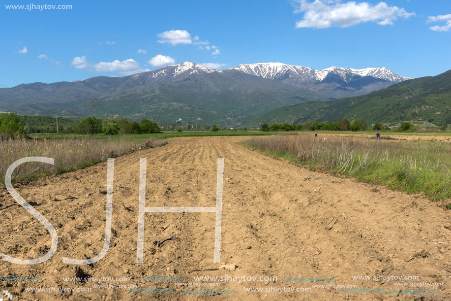 Amazing Spring Landscape of Rila Mountain near village of Stob, Kyustendil region, Bulgaria