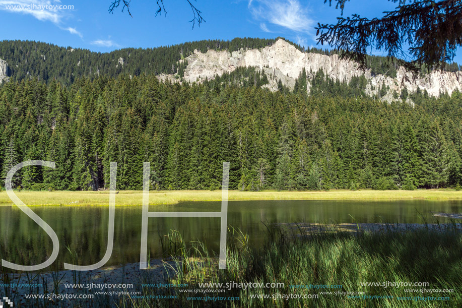 Amazing landscape of  The Grassy (Trevistoto) Smolyan lake at Rhodope Mountains, Smolyan Region, Bulgaria