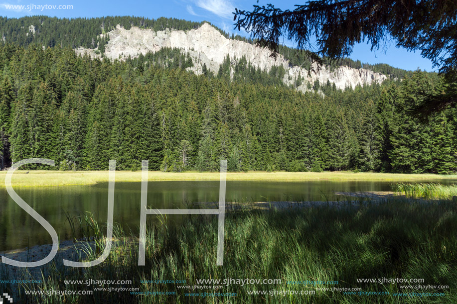 Amazing landscape of  The Grassy (Trevistoto) Smolyan lake at Rhodope Mountains, Smolyan Region, Bulgaria