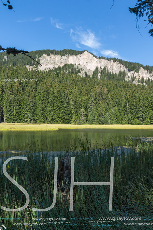 Amazing landscape of  The Grassy (Trevistoto) Smolyan lake at Rhodope Mountains, Smolyan Region, Bulgaria