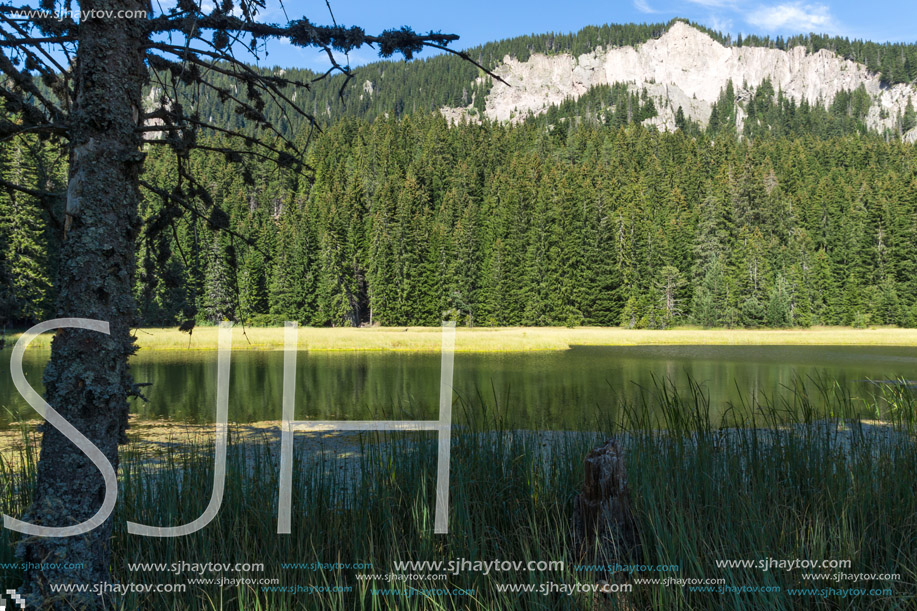 Amazing landscape of  The Grassy (Trevistoto) Smolyan lake at Rhodope Mountains, Smolyan Region, Bulgaria