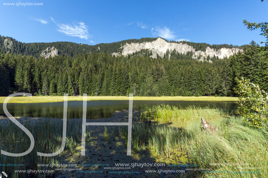 Amazing landscape of  The Grassy (Trevistoto) Smolyan lake at Rhodope Mountains, Smolyan Region, Bulgaria