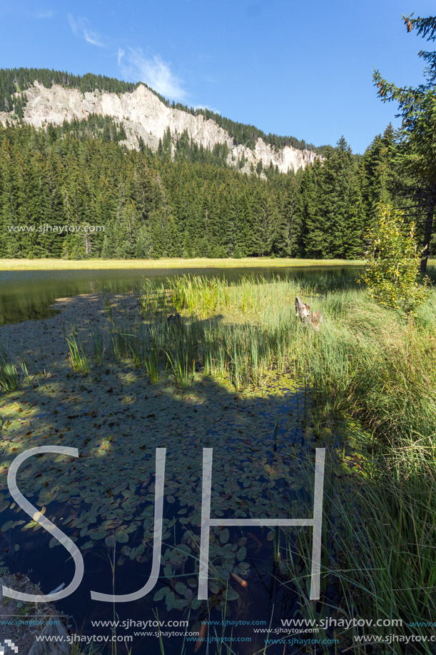 Amazing landscape of  The Grassy (Trevistoto) Smolyan lake at Rhodope Mountains, Smolyan Region, Bulgaria